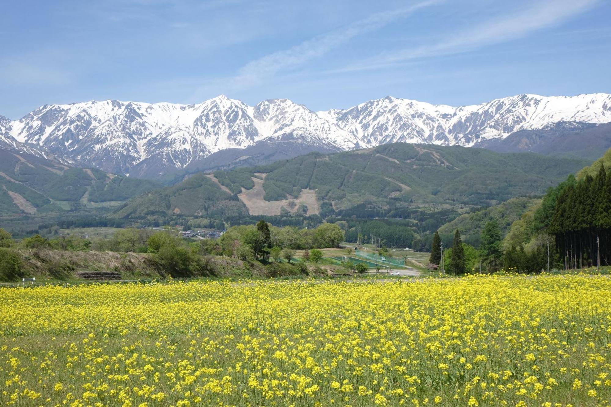 Country Inn かしわばら 白馬村 エクステリア 写真