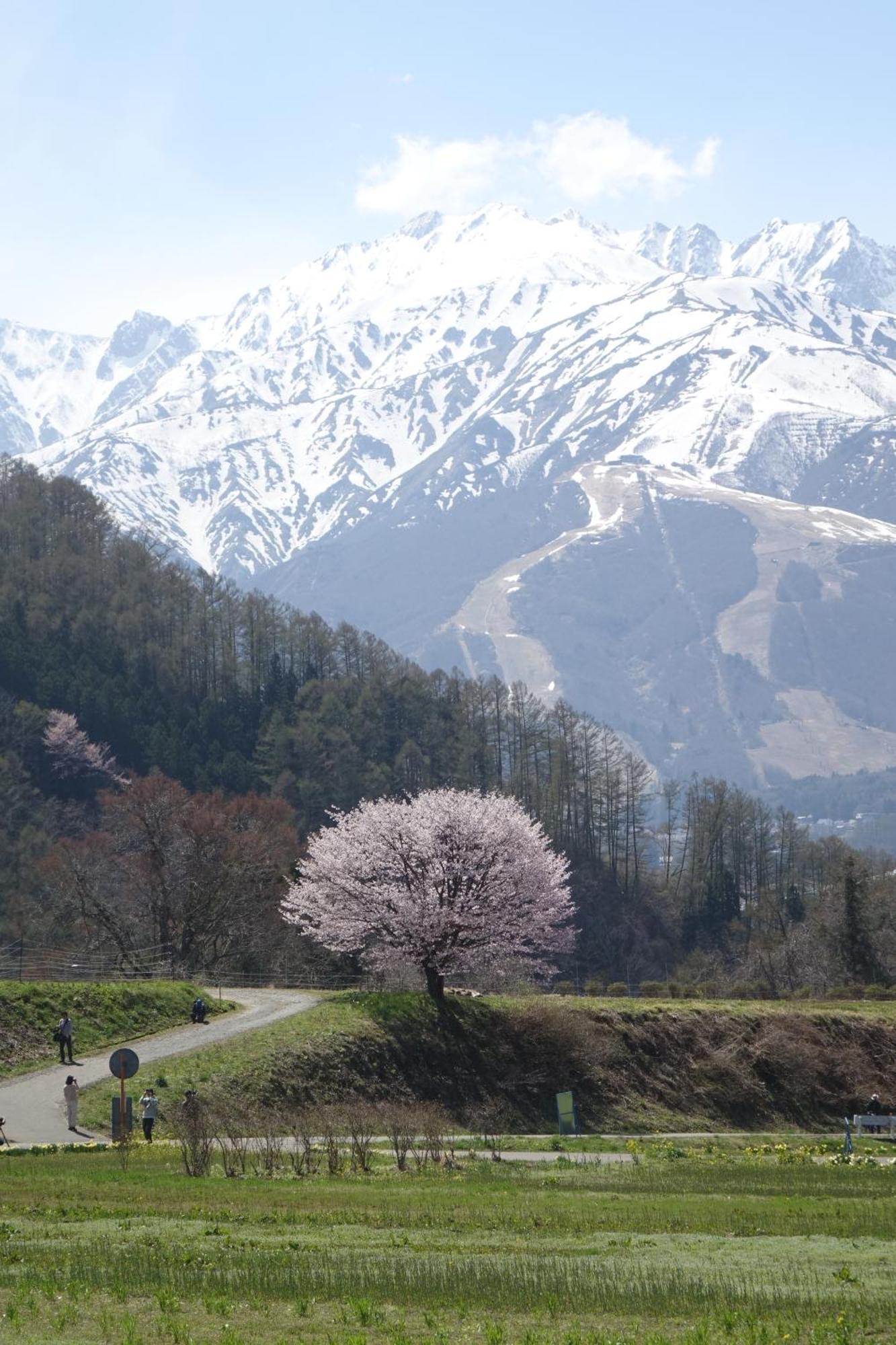 Country Inn かしわばら 白馬村 エクステリア 写真