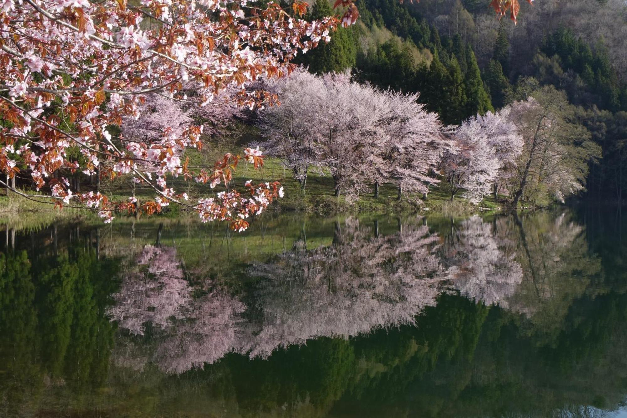 Country Inn かしわばら 白馬村 エクステリア 写真